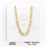22kt yellow gold chain RJC30179 front view with paperclip and round links, modern lightweight style, 9.3 grams, 20 in